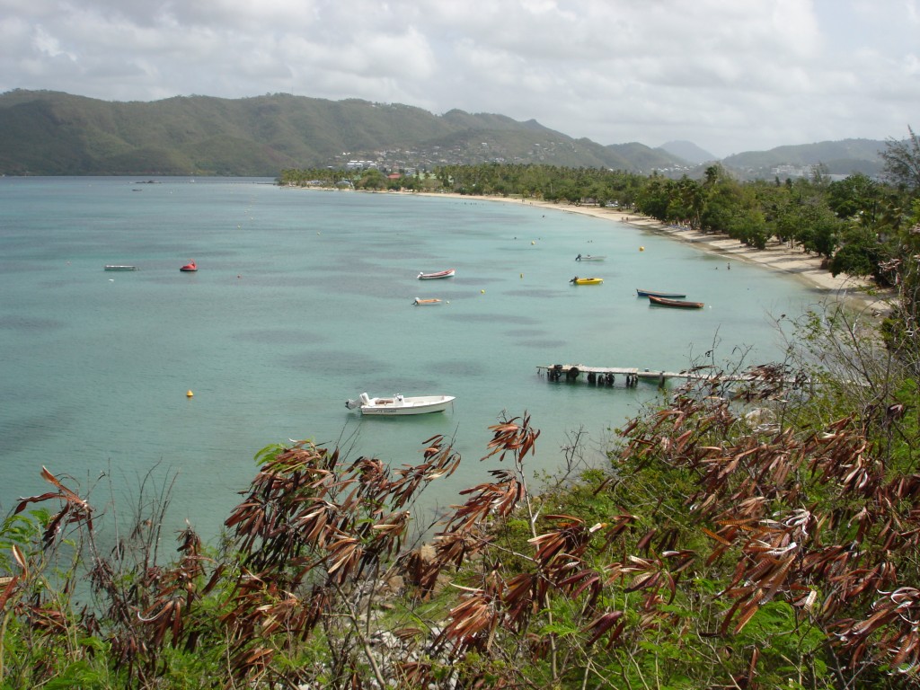 Voir la plage de Sainte-Anne à la Martinique lors d'une croisière avec Vents de Mer