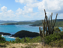 Top 5 des plus beaux paysages de Martinique